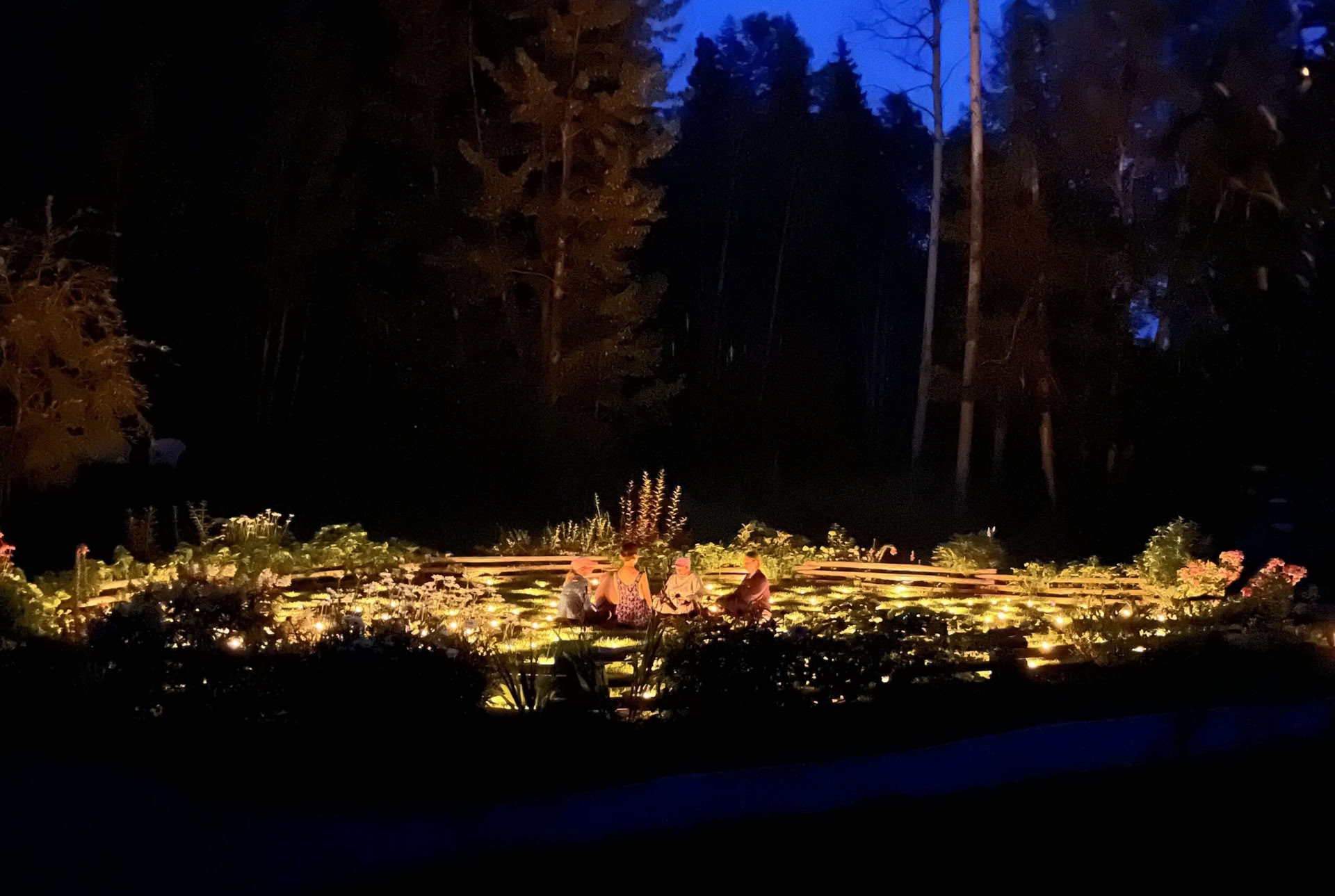 Pabusk Laukinėje Gamtoje