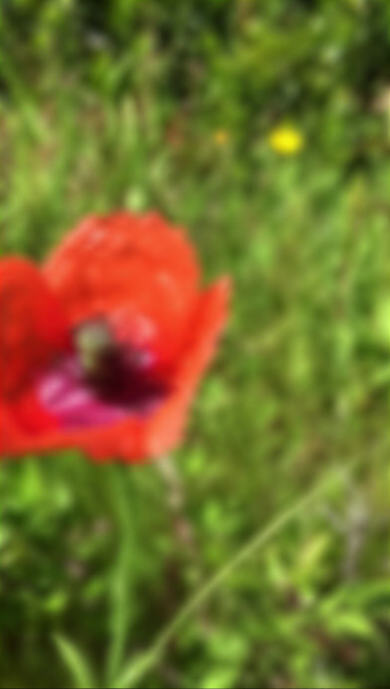 7–28 dienų meno rezidencija