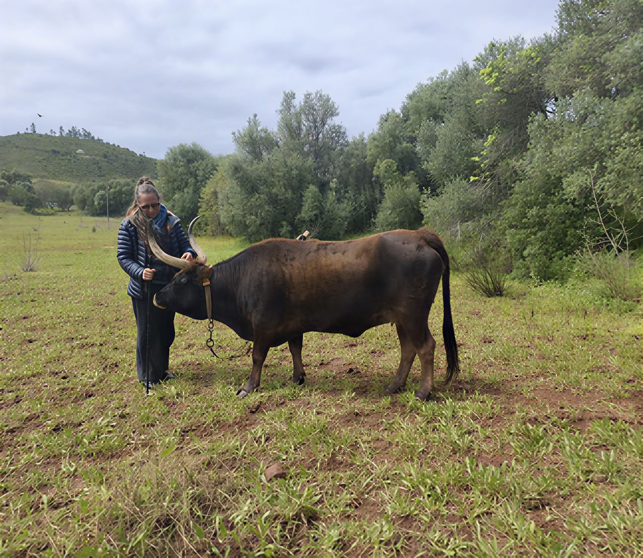 28 dienų švelnus transformacinis retritas