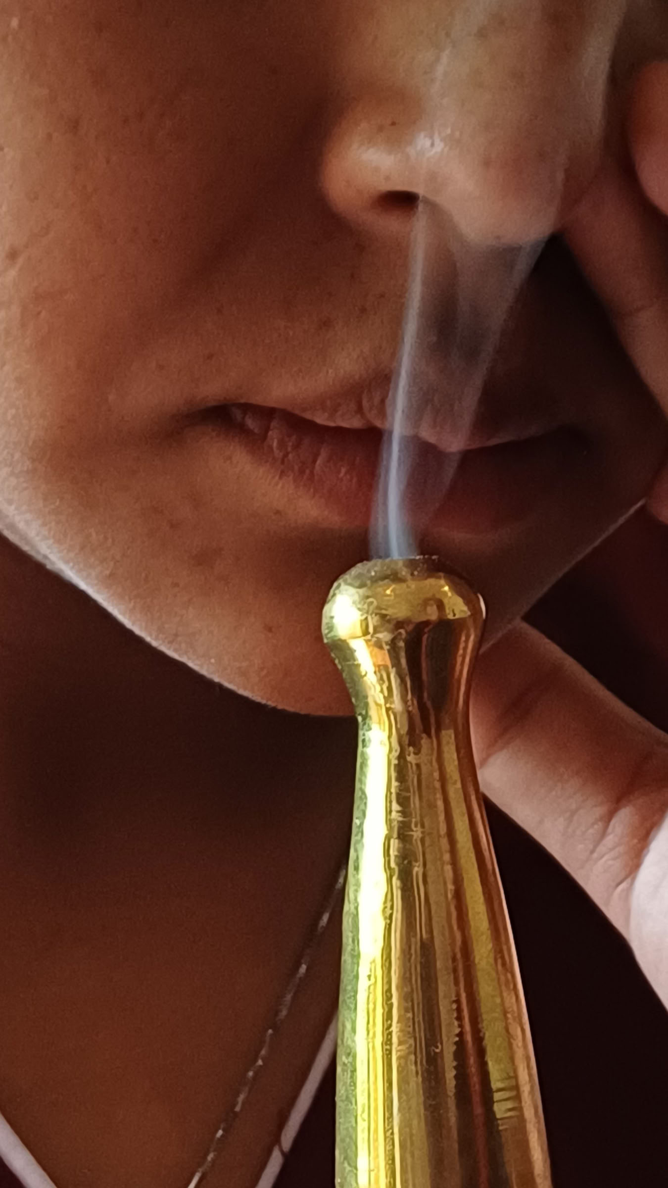 20 naktų 21 diena Rasajana atgaivinimo Pančakarmos retritas