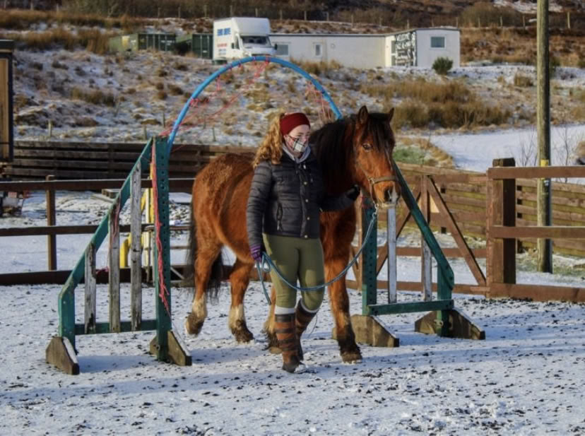 Žirgų asistuojamas terapinis koučingas