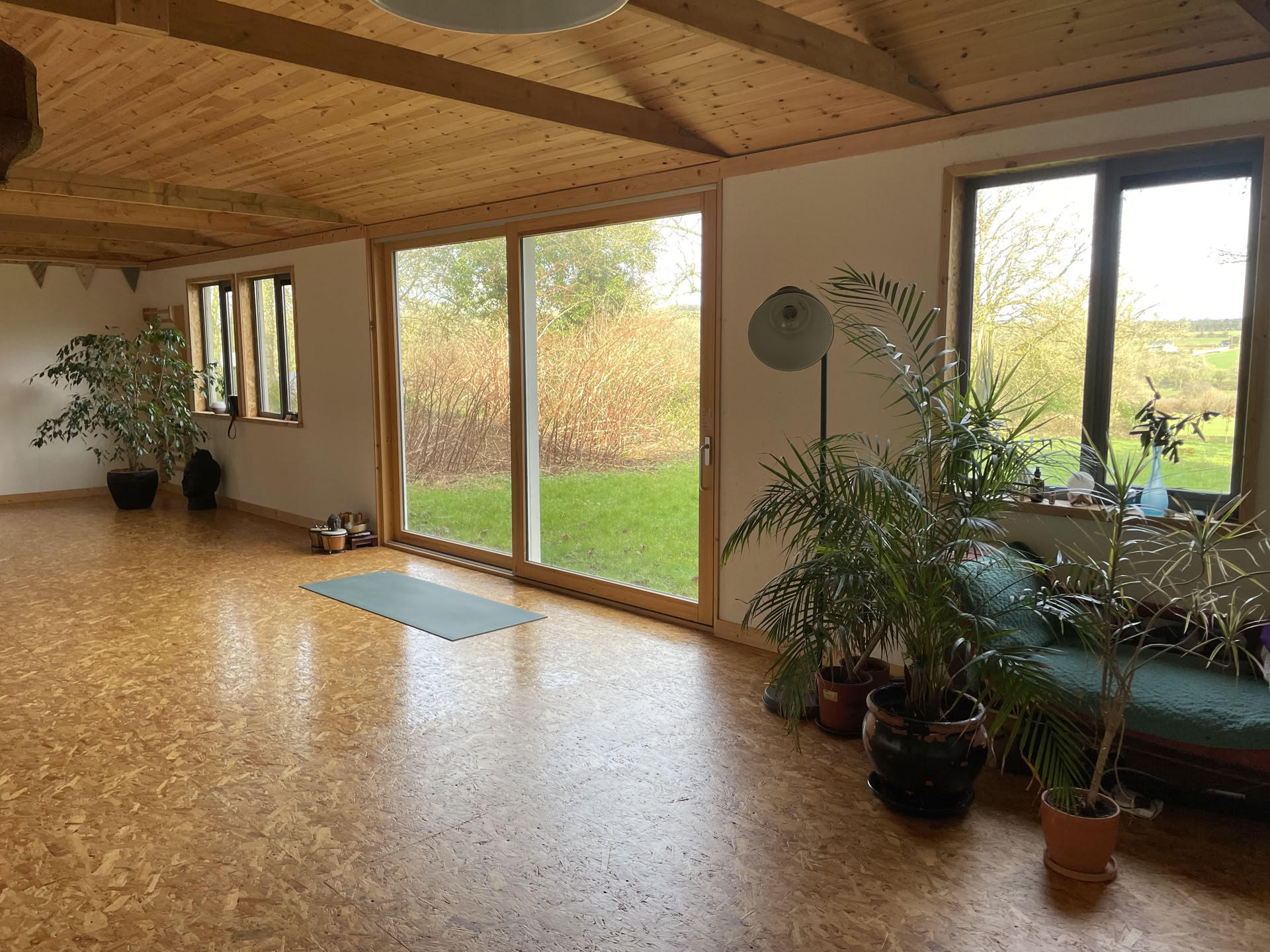 Ashtanga vedama joga