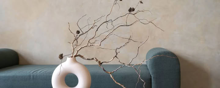 Feng shui konsultacija namuose