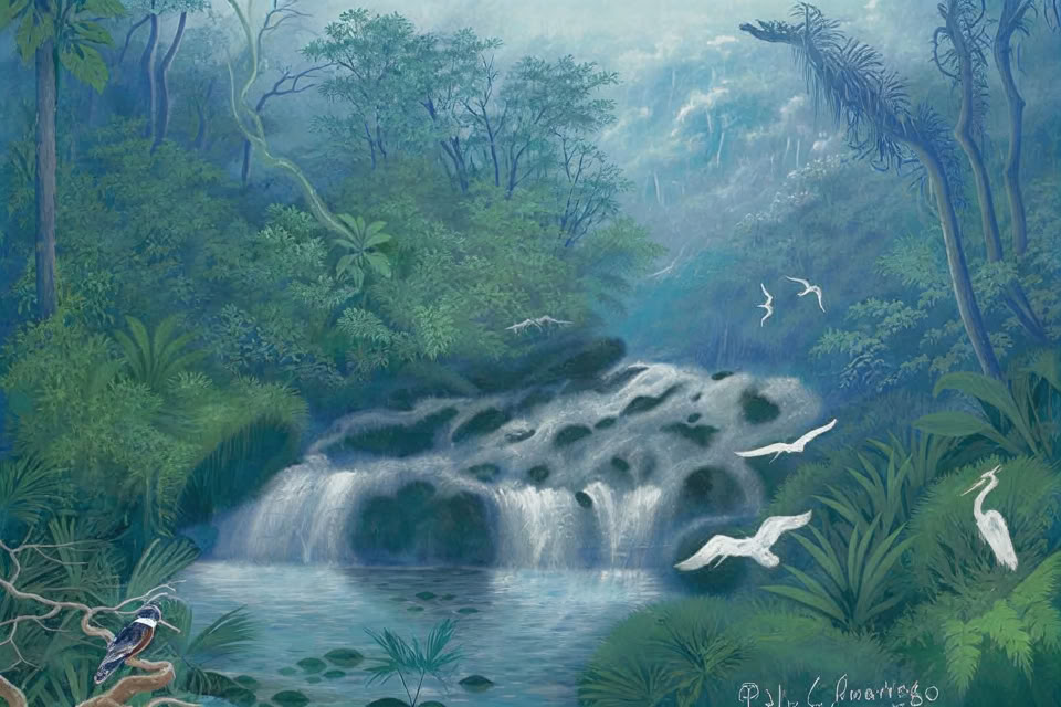 2027 m. sausio 24–31 d. „Ocean Forest Ecolodge“