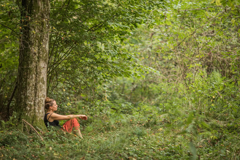 Laukinės vasaros dienos – mažasis retritų festivalis