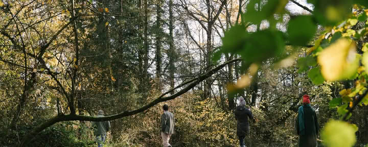 Miško lobių medžioklė