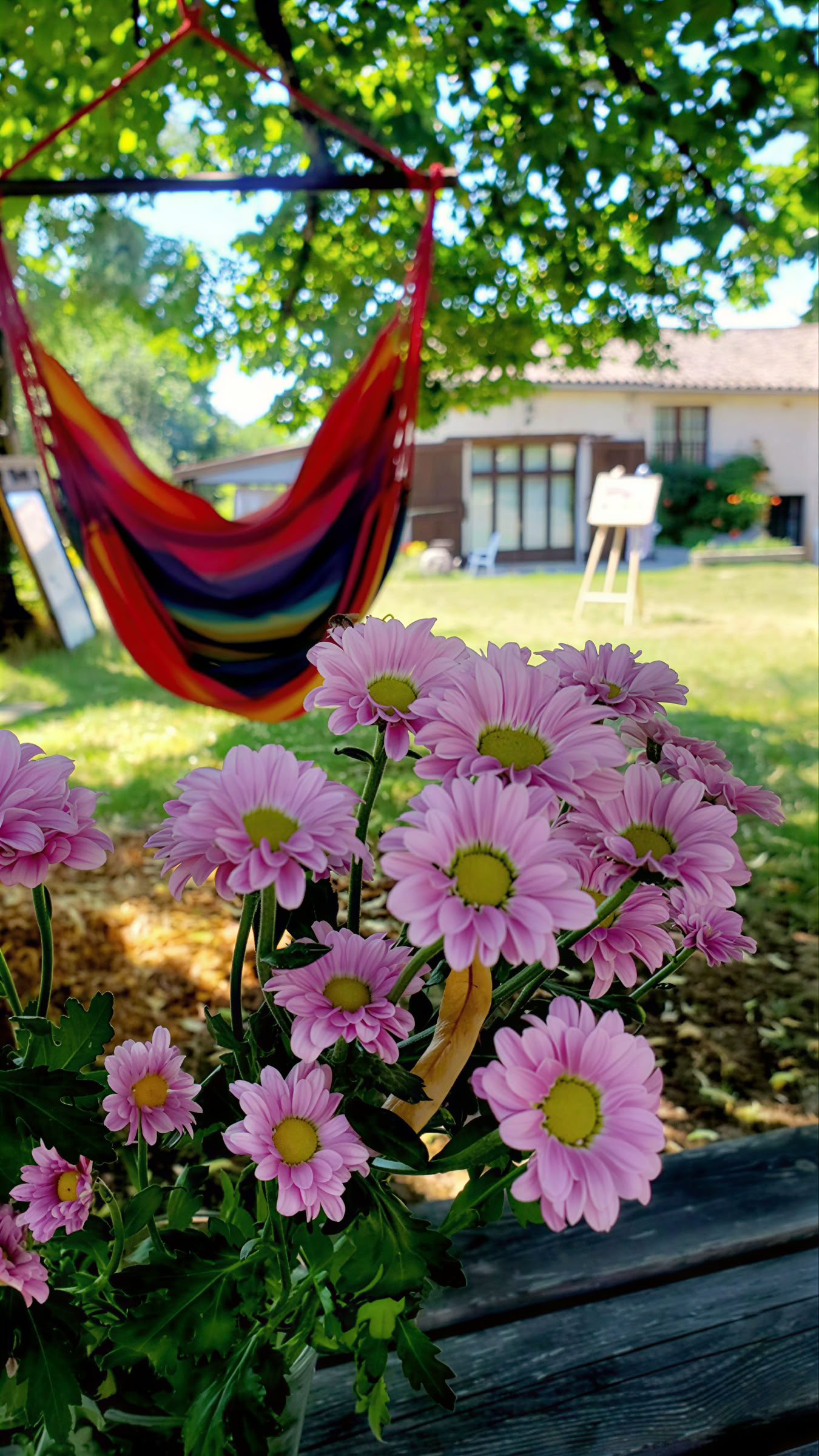Joga ir meditacijos retritas Pietų Prancūzijoje