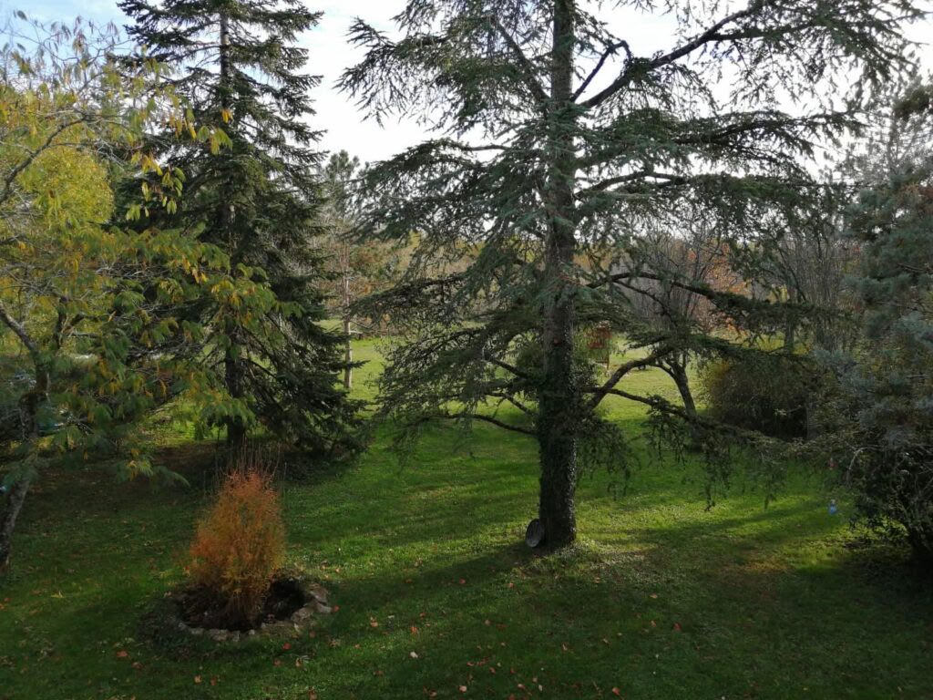 Joga ir meditacijos retritas Pietų Prancūzijoje