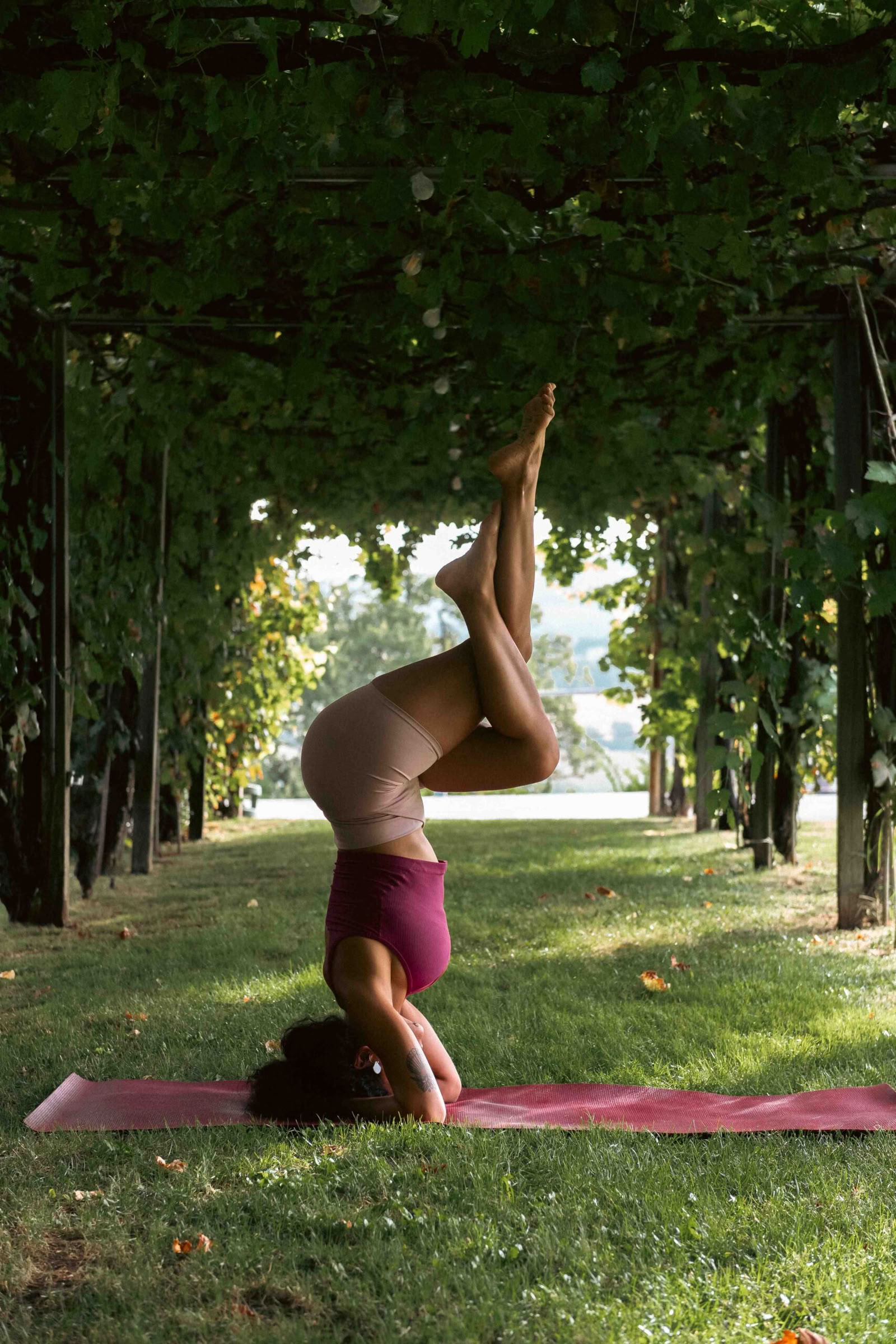 Gyvai vykstanti vinyasa joga