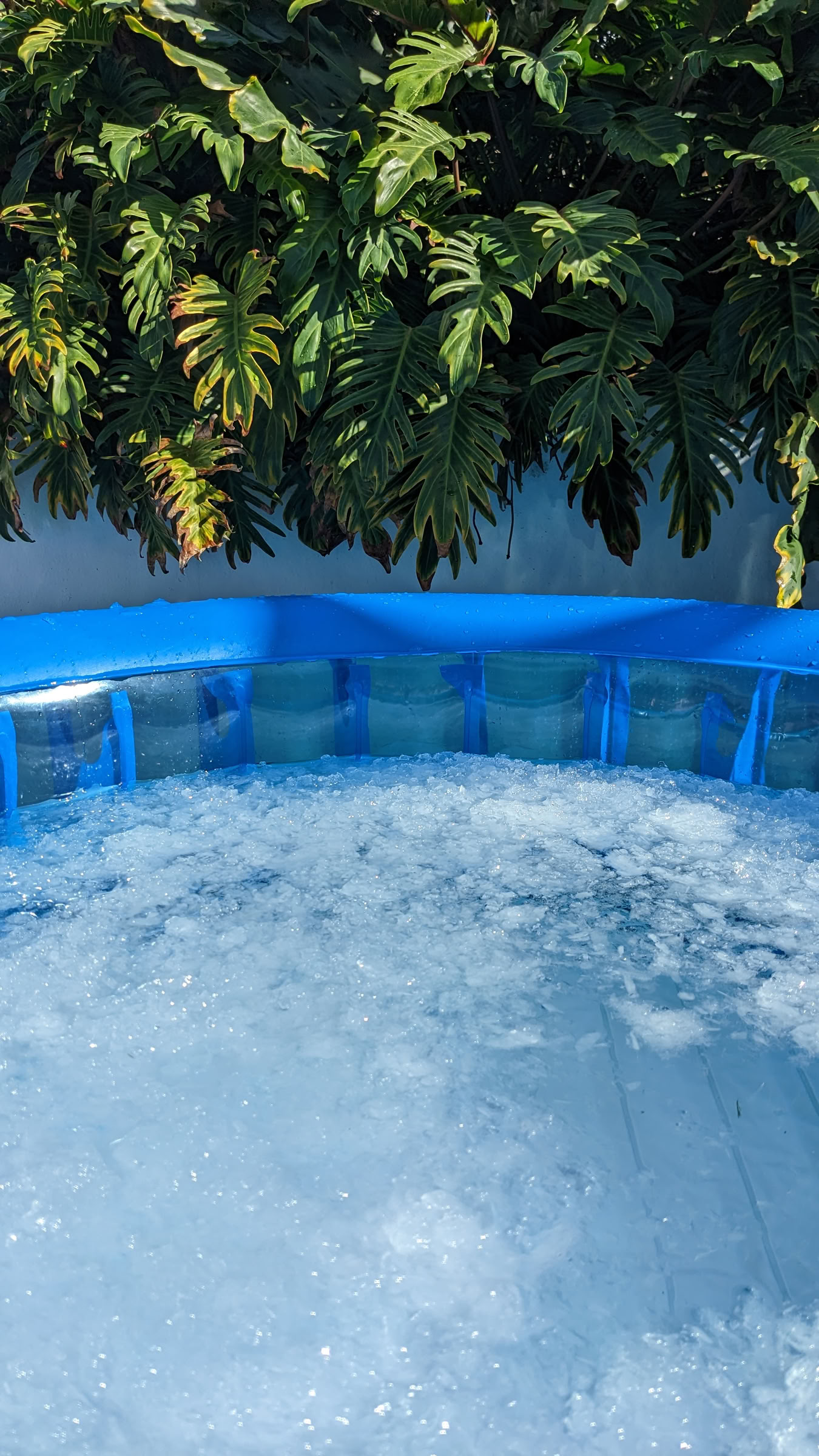 Wim Hof metodas Fuerteventūroje