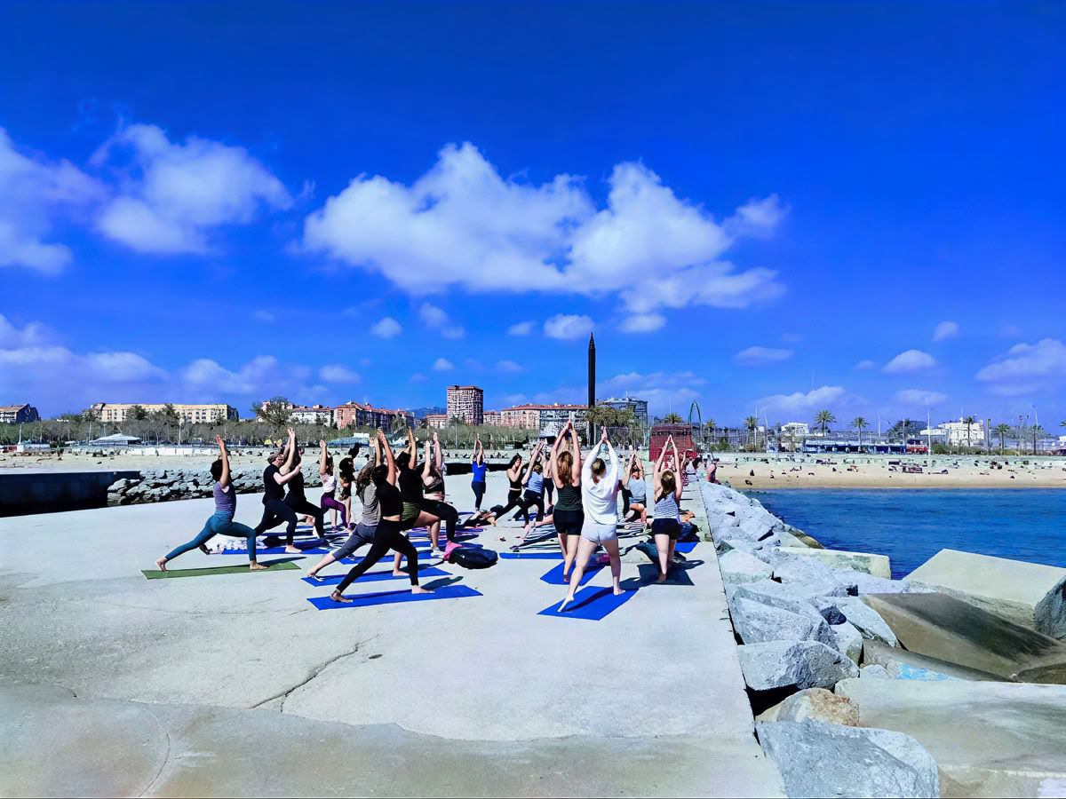 Srauto joga
