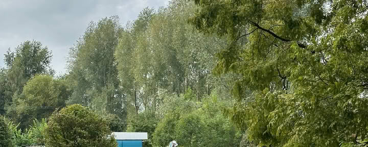 Vinyasa srautas
