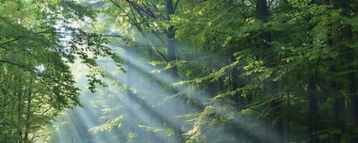 Reiki 2 praktikuotojų kursas