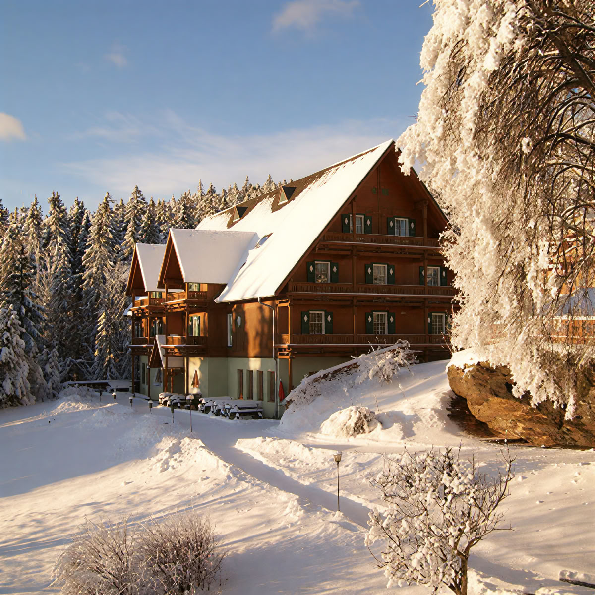 Porų retritas Reinischkogel kalne