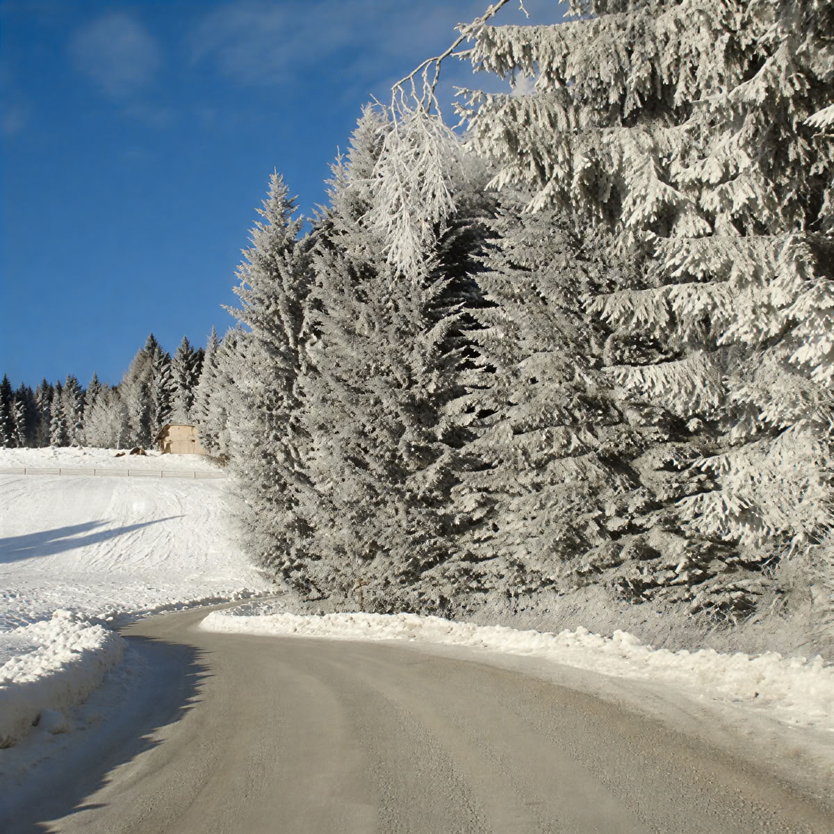 Porų retritas Reinischkogel kalne