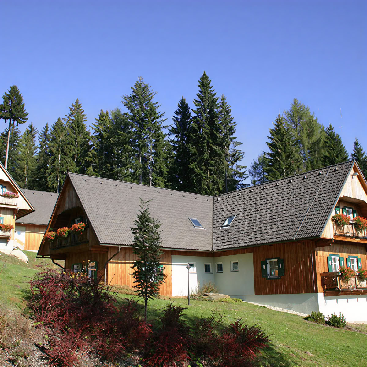 Aukštų virvių trasa