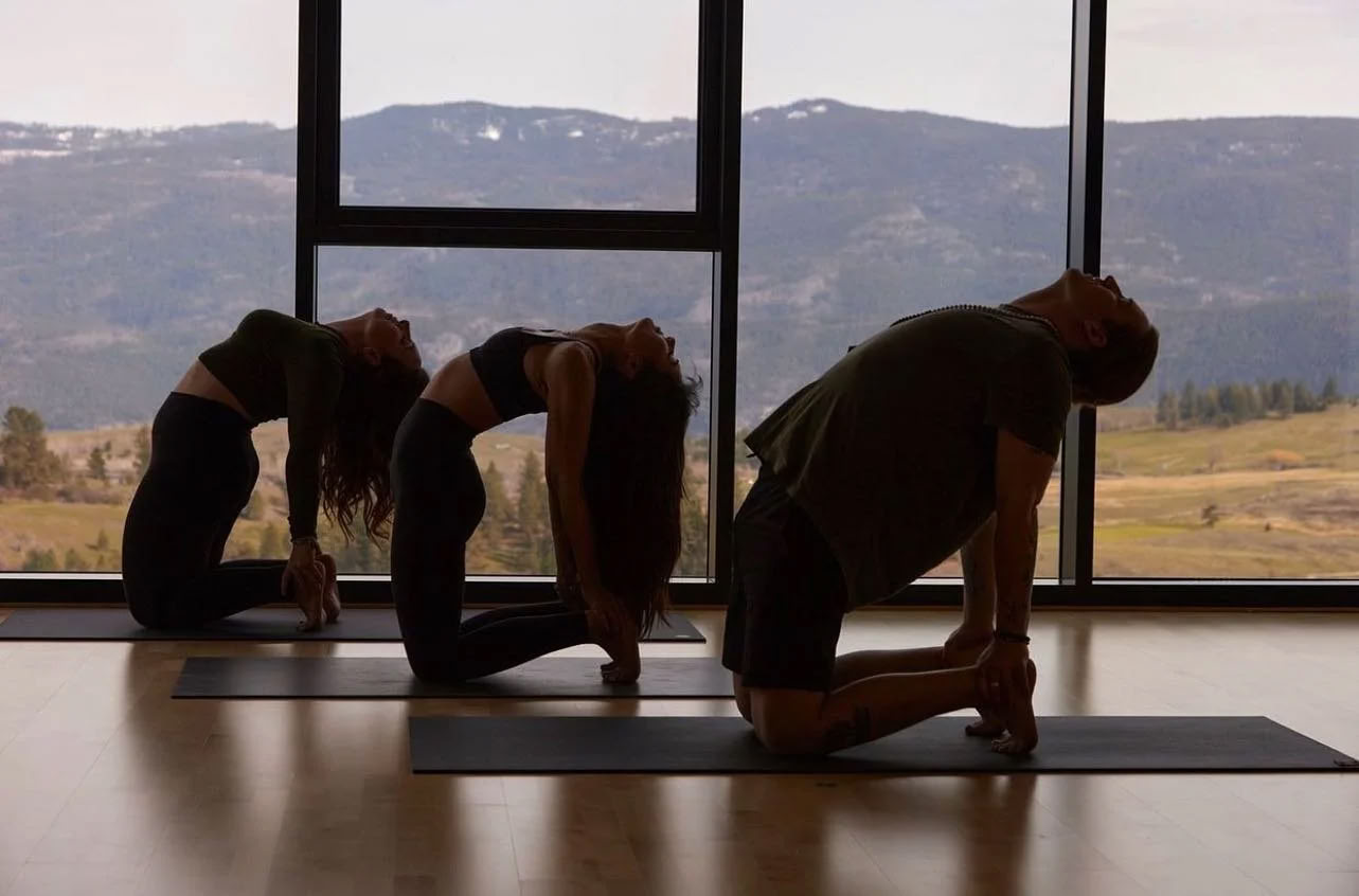 Prieplaukos tėkmė: joga ir meditacija prie Okanagano ežero!