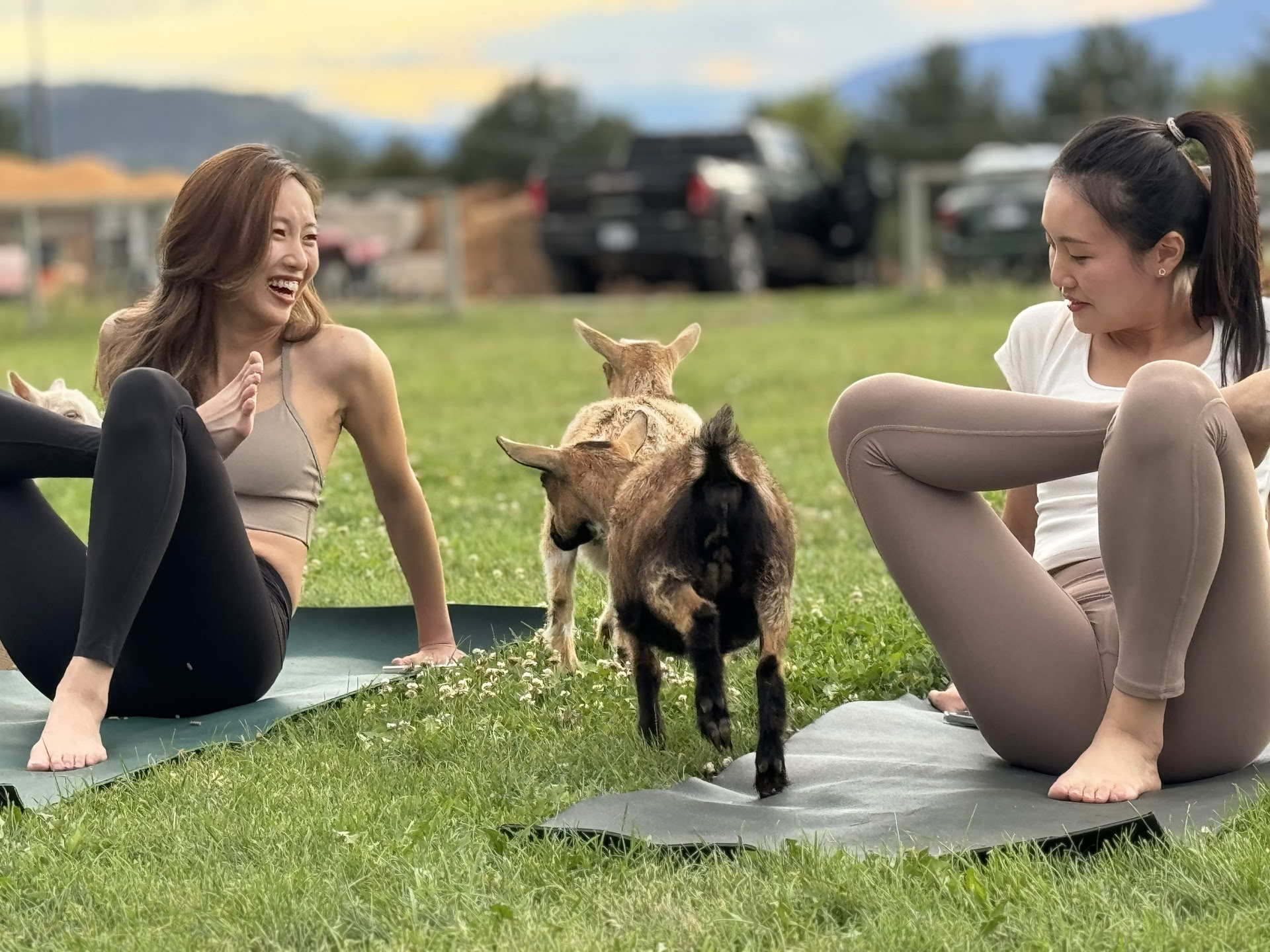 Prieplaukos tėkmė: joga ir meditacija prie Okanagano ežero!