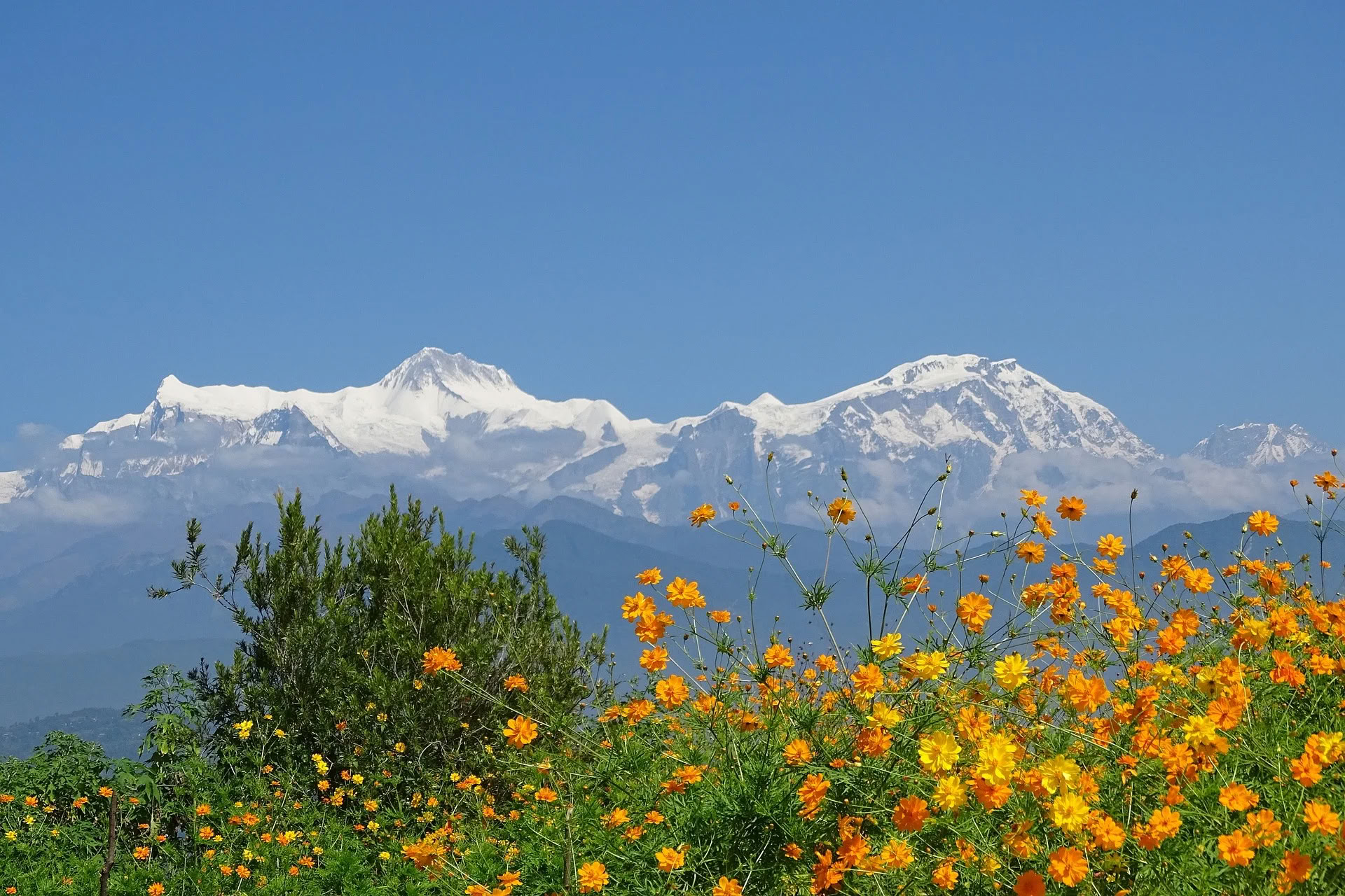 Annapurnos bazinė stovykla
