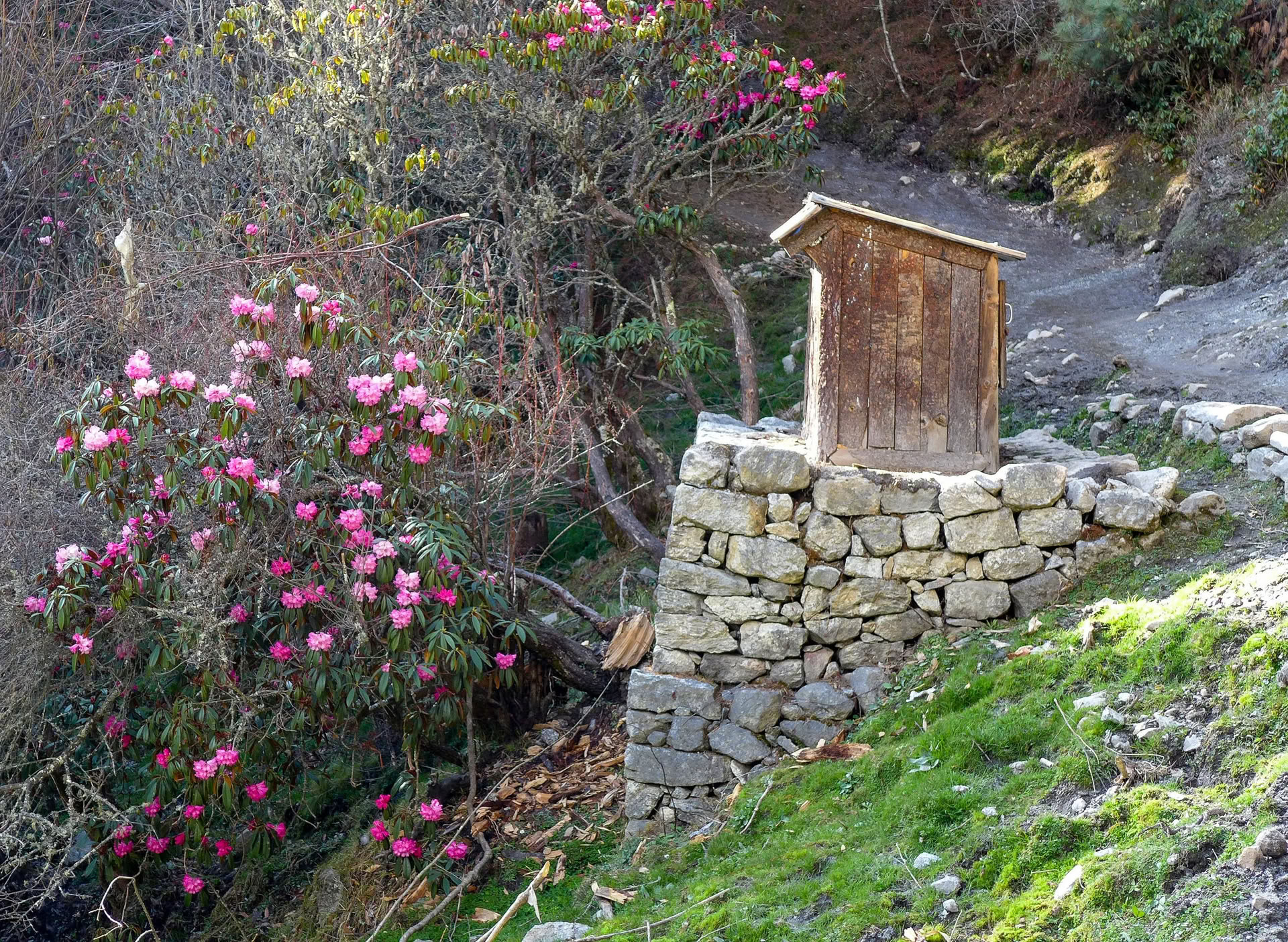Annapurnos bazinė stovykla