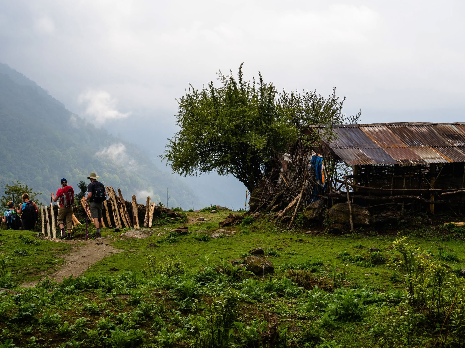 Annapurnos bazinė stovykla