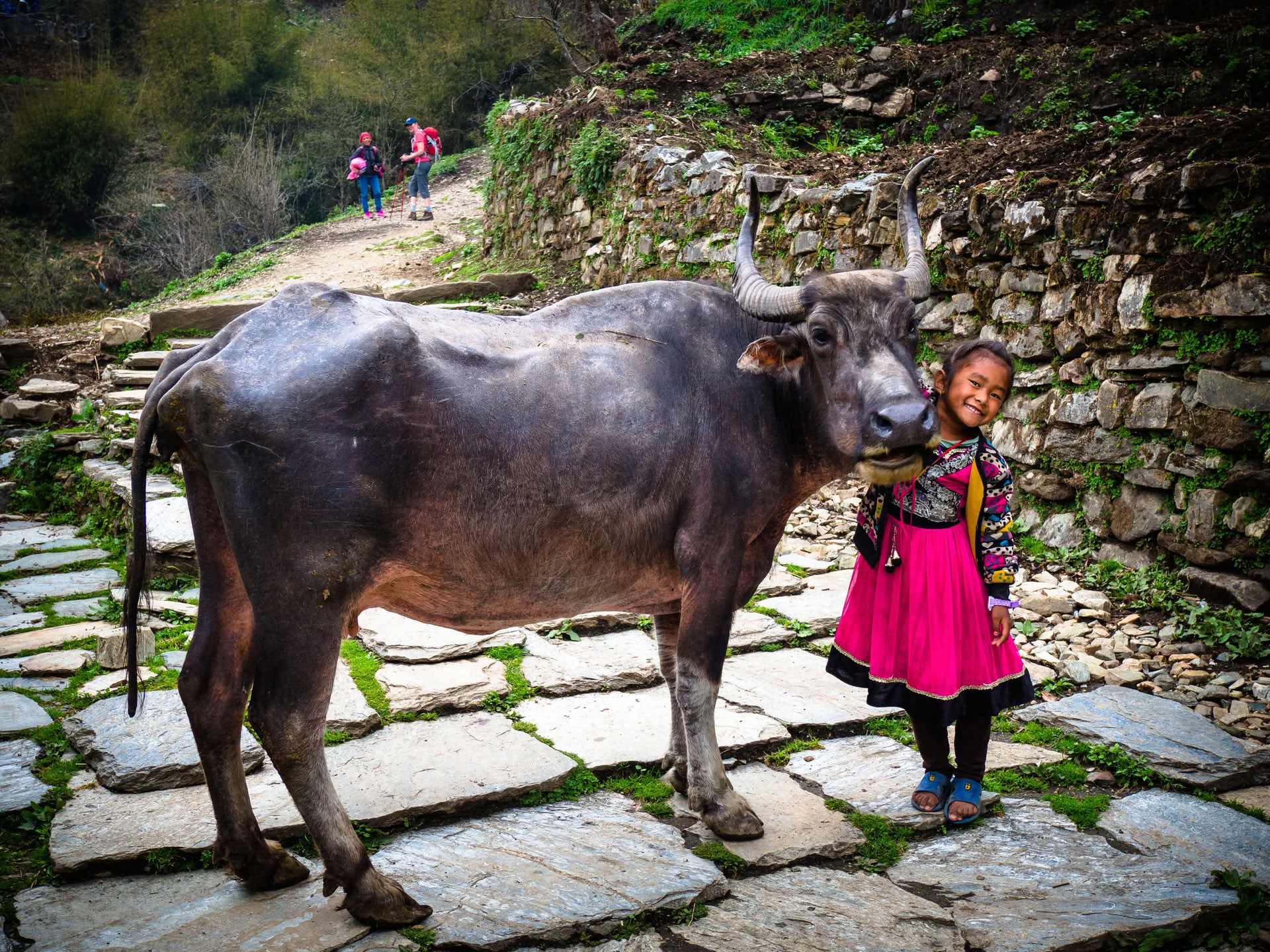 Annapurnos bazinė stovykla