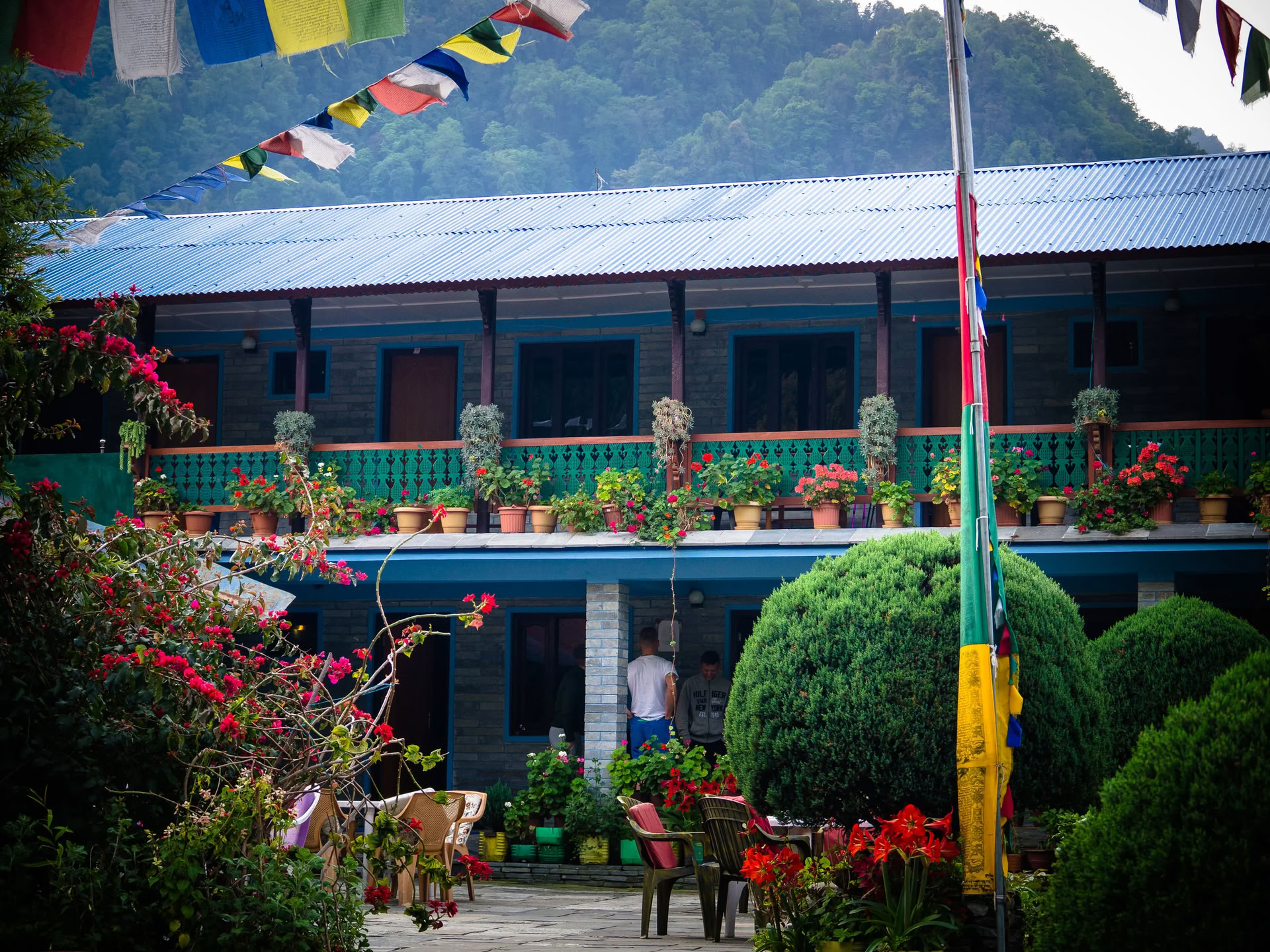 Annapurnos bazinė stovykla
