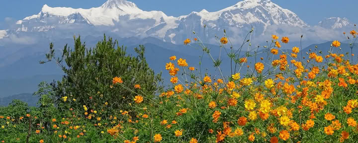 Annapurnos bazinė stovykla