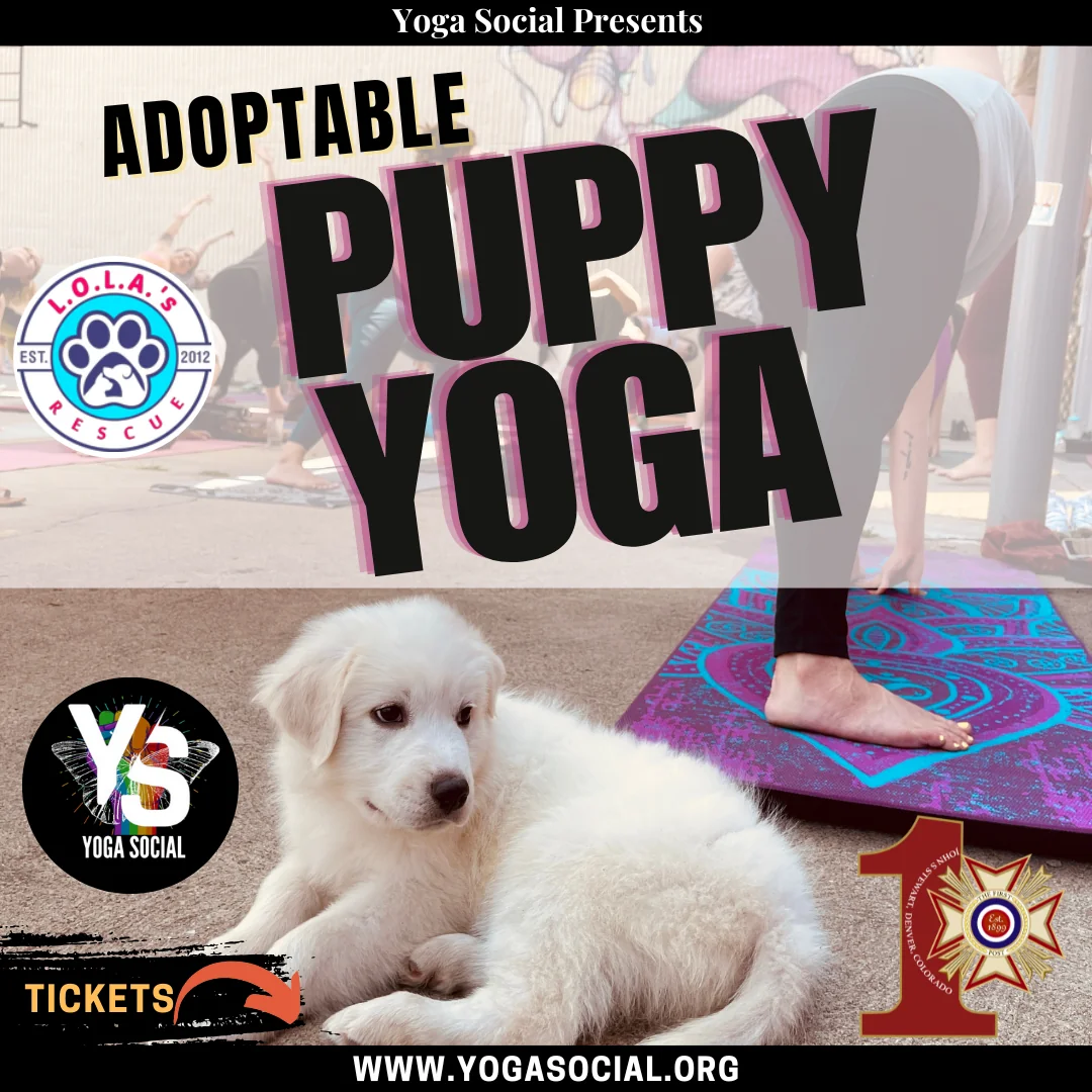 Joga VFW Post 1 | Denver