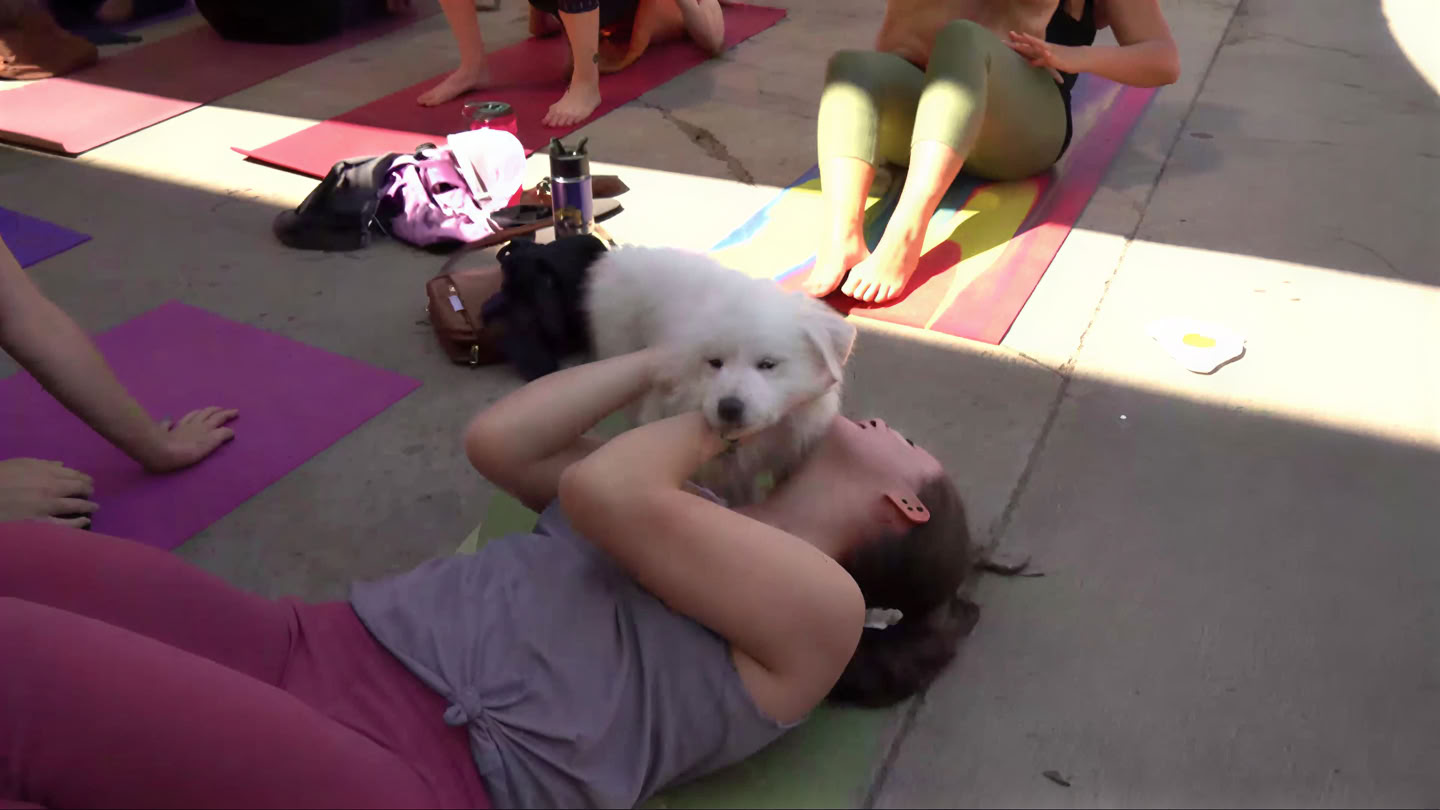 Joga ir pilatesas Bierstadt Lagerhaus | Denver