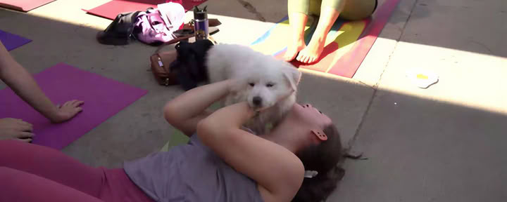 Joga ir pilatesas Bierstadt Lagerhaus | Denver
