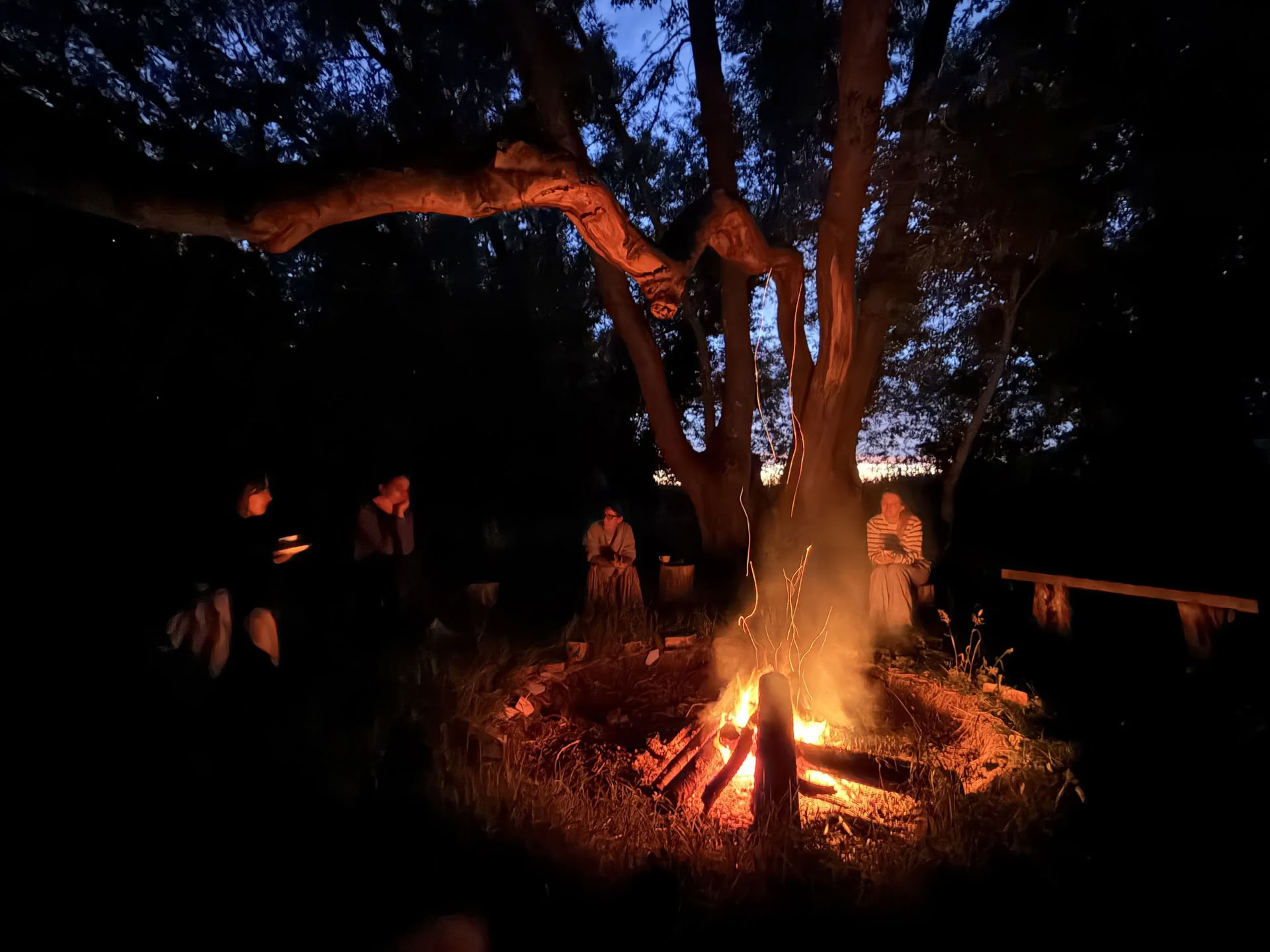 3 dienų „Enwild“ savęs priežiūros bootcamp retritas
