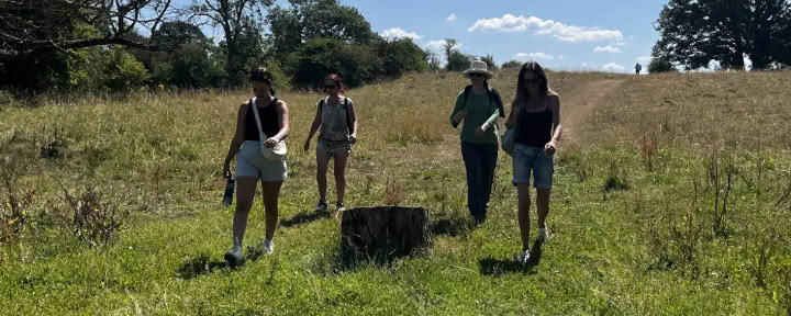 Vertos Žemės festivalis