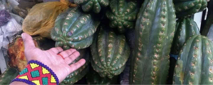 San Pedro ceremonija