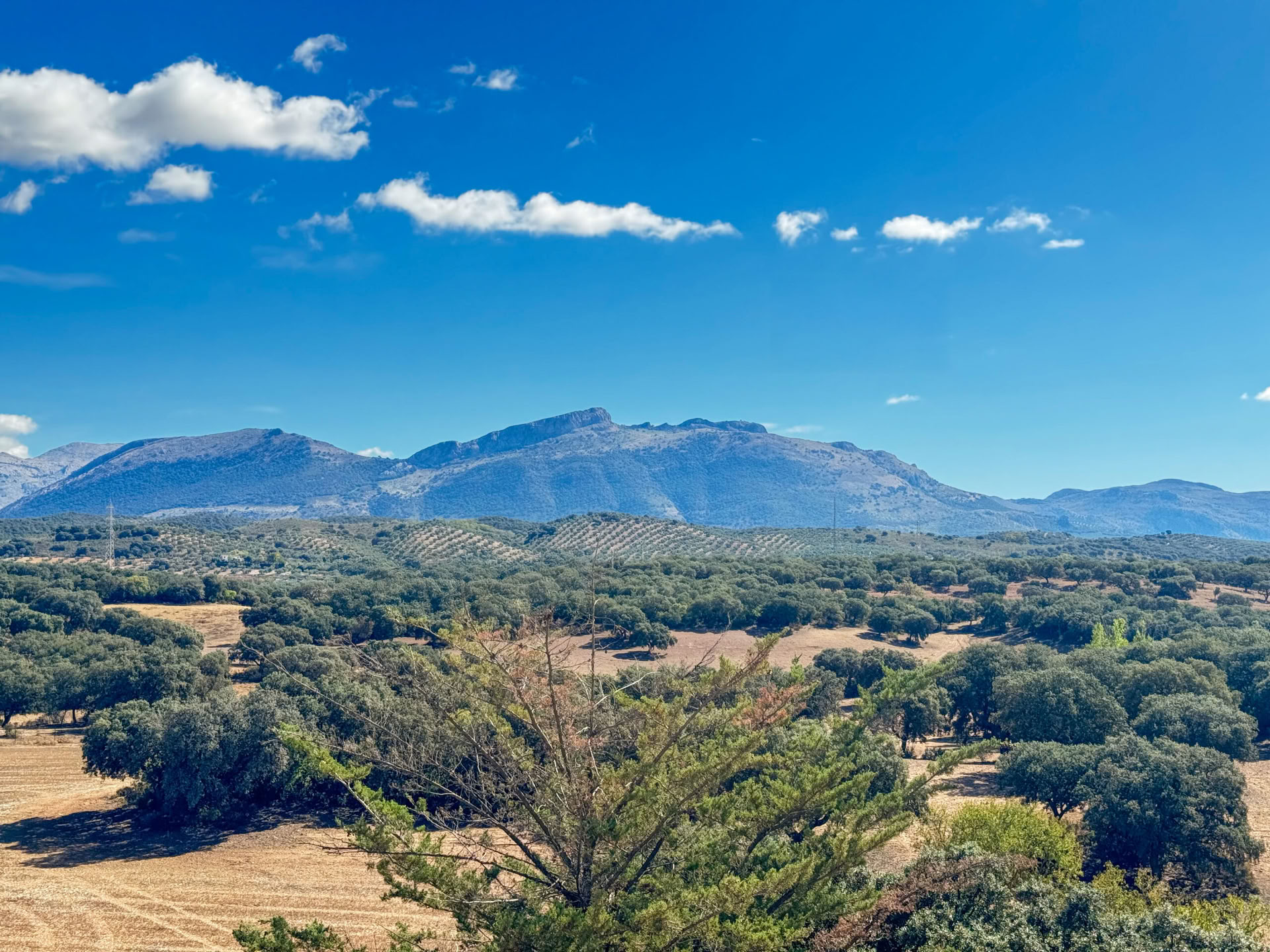 Nuomokite Finca La Lola