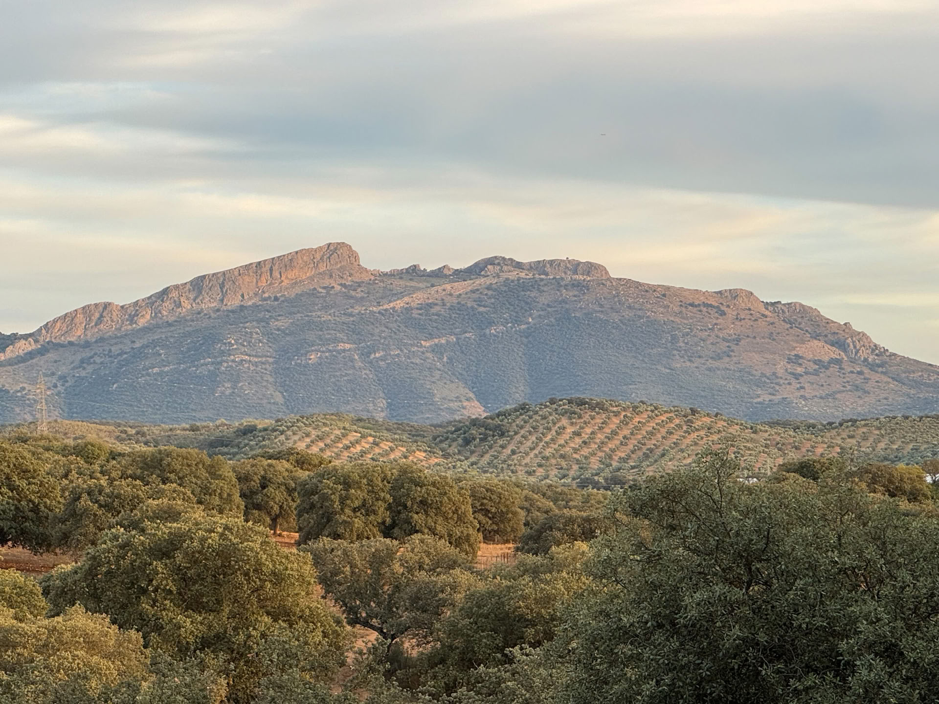 Nuomokite Finca La Lola