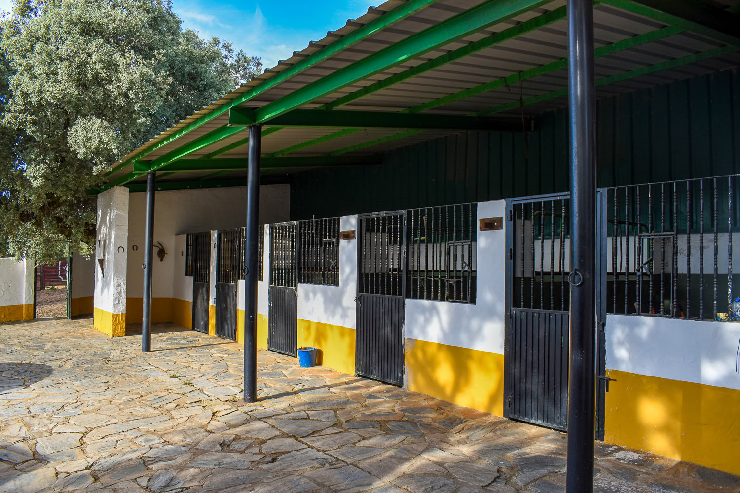 Nuomokite Finca La Lola