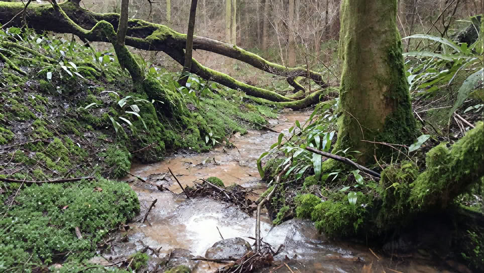 Žiemos sveikatingumo retritas – Cotswolds