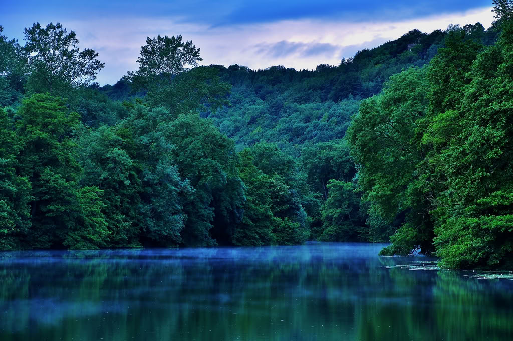 Švelnumo galia