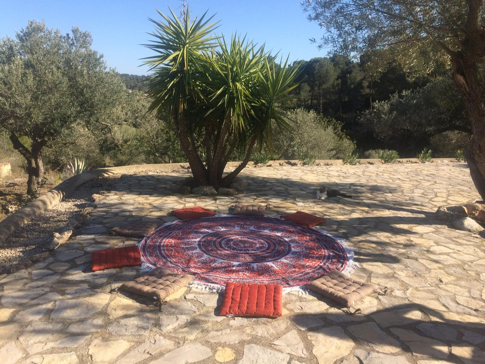 Joga ir gilaus poilsio meditacijos retritas