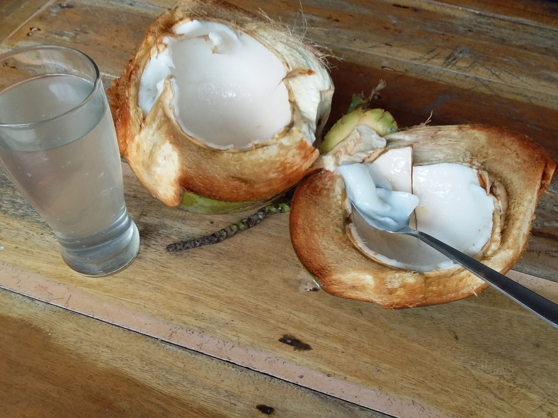 5 dienų ir 4 naktų sąmoningumo kelionė
