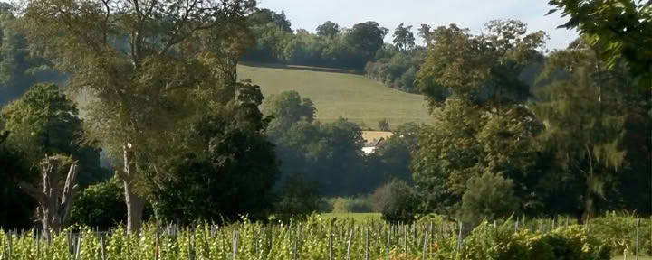 Pinigų seminaras
