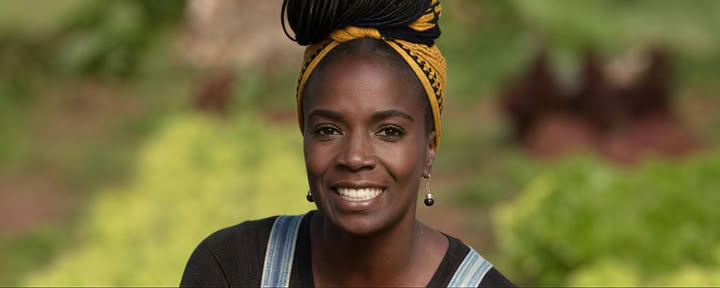 Dangos Kultūros Muzika