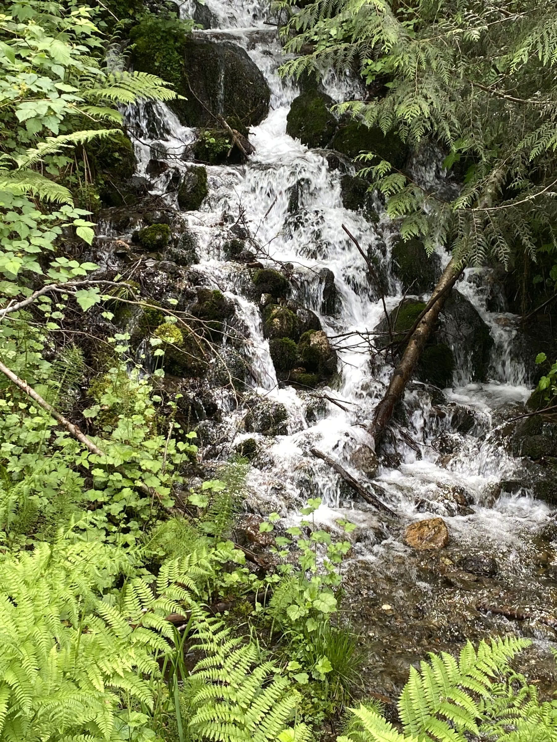 Joga, žygiai ir gydymo retritas prie Fox Creek Falls