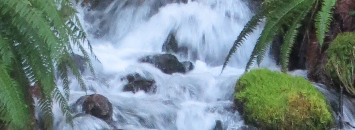 Frog Creek, WA gydomasis retritas