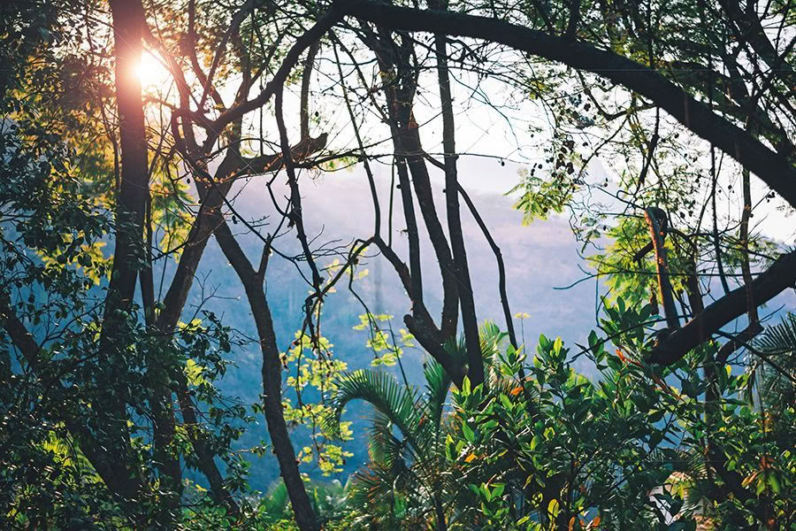 Apskritiminiai šokiai