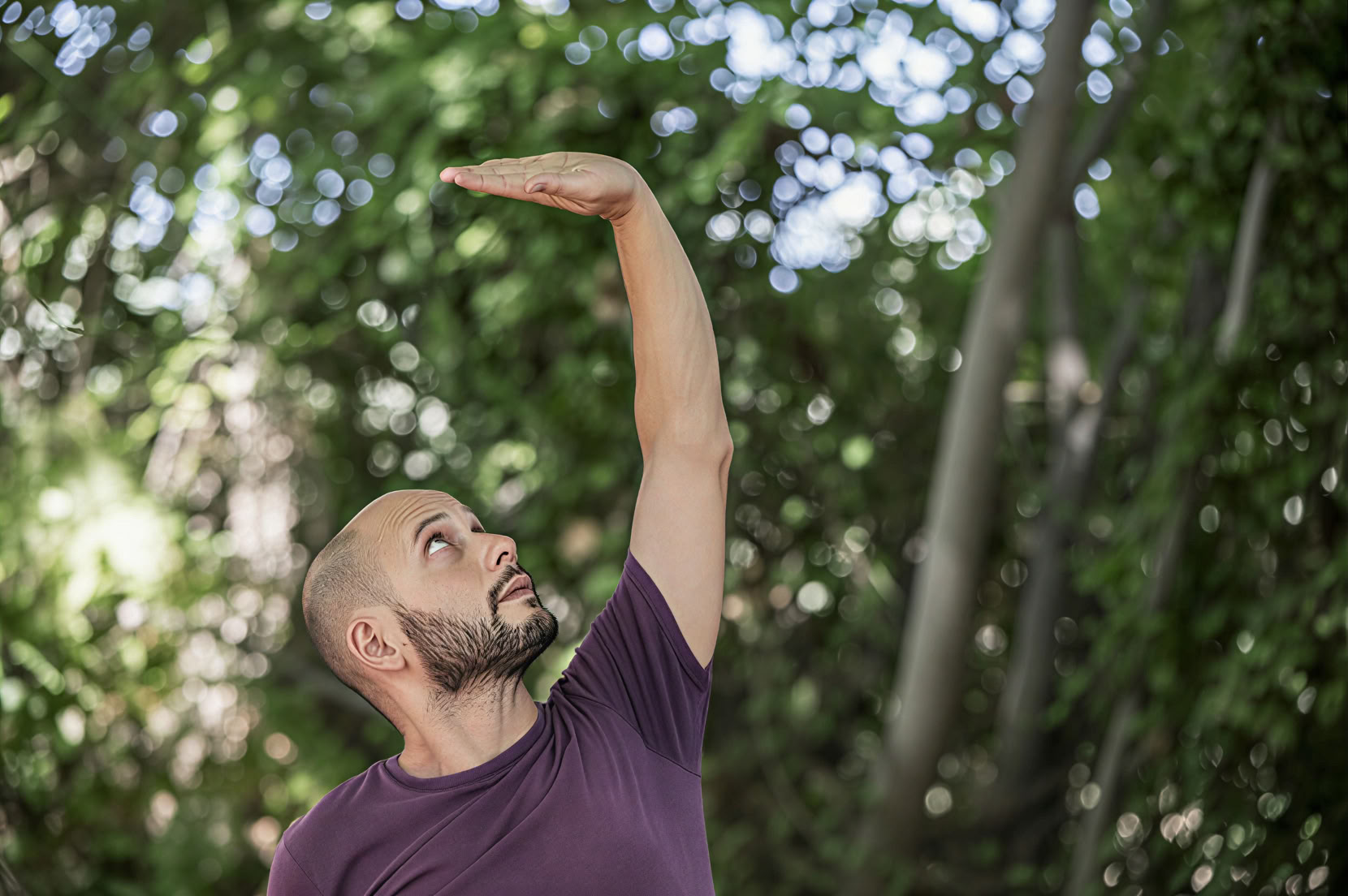 Tai Chi ir Qigong retritas