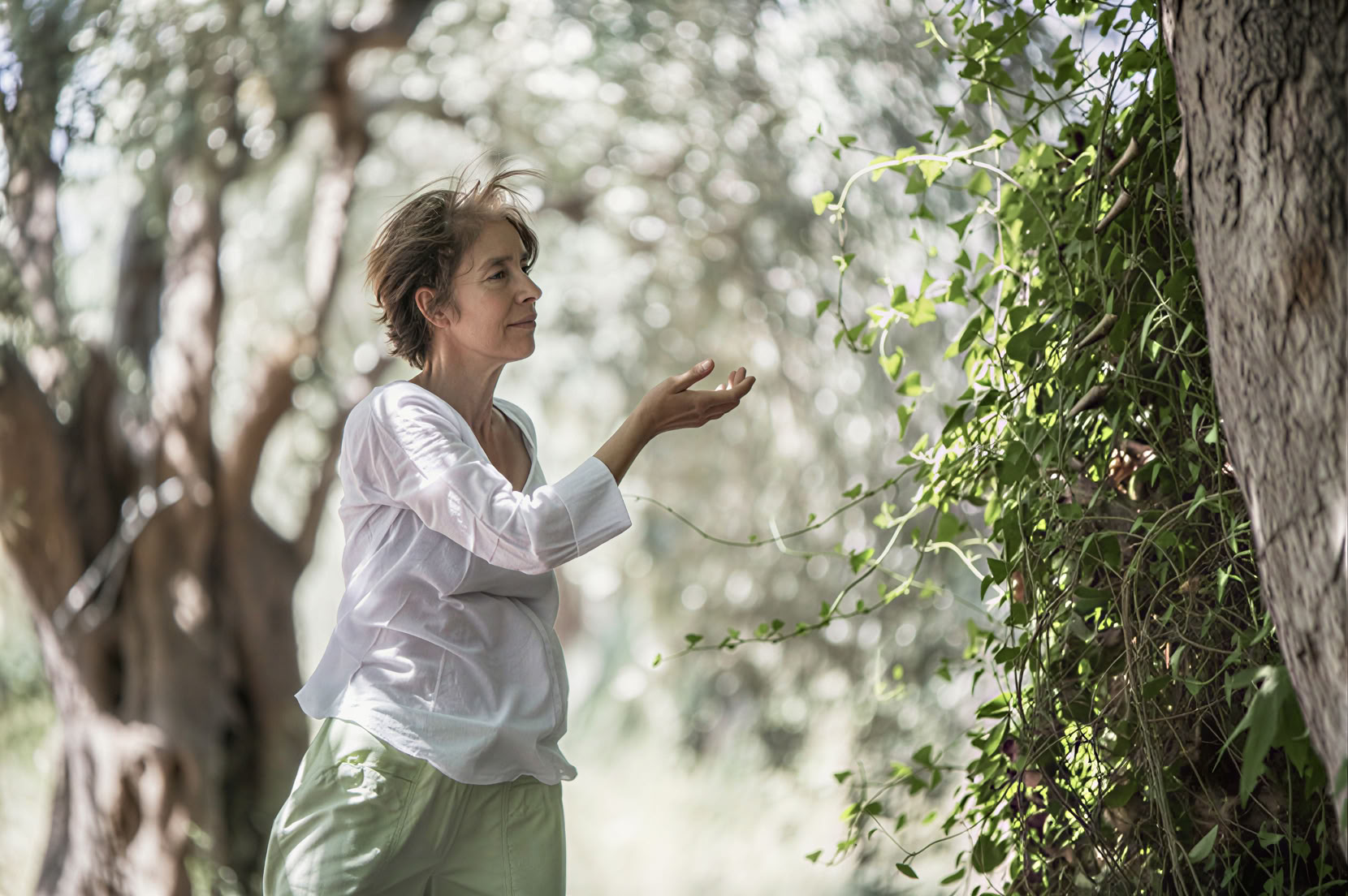 Tai Chi ir Qigong retritas