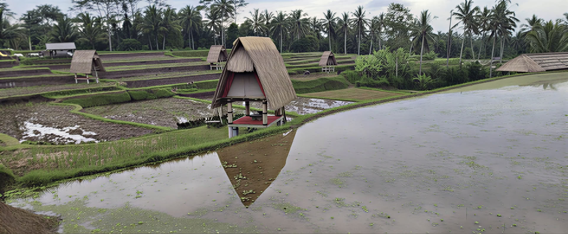 Bali retritas