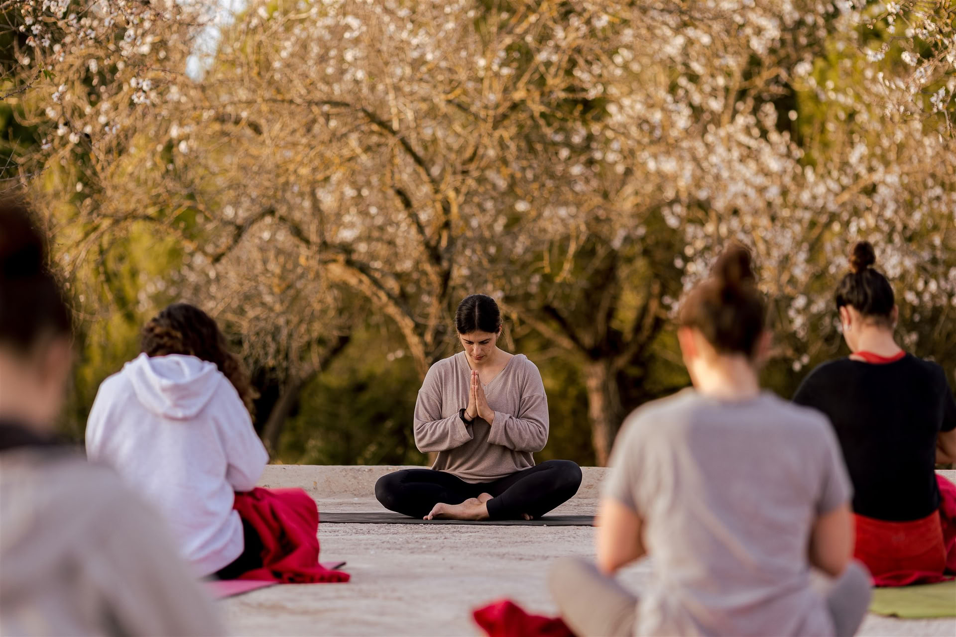 Vinyasa joga IBIZALOE (San Antonio)